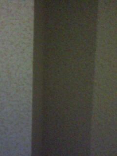 IMG0087A.jpg