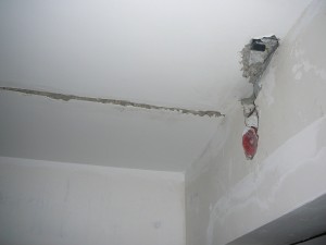 P1050037.JPG