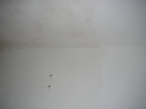 P1050043.JPG