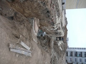 P1050051.JPG