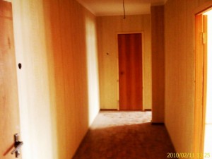IMAG0207.jpg