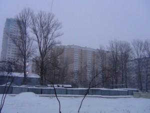 DSC00241.JPG