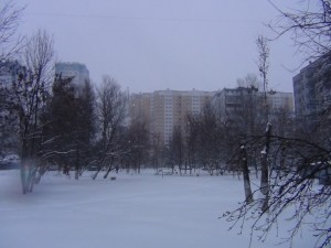 DSC00252.JPG