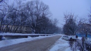 DSC00255.JPG