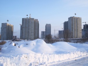 IMGP7108.jpg