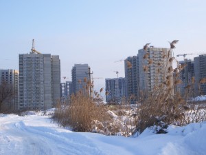 IMGP7107.jpg