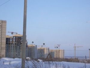 IMGP7105.jpg