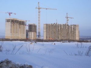 IMGP7104.jpg