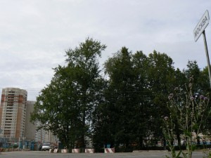 P1350479м..jpg