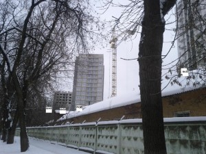 IMG_20130117_132146.jpg