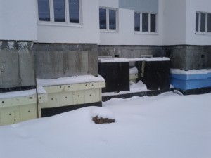 IMG_20130117_131337.jpg