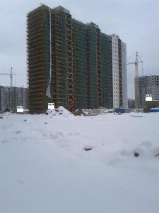 IMG_20130117_131118.jpg