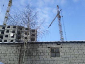 IMG_20130112_140351.jpg