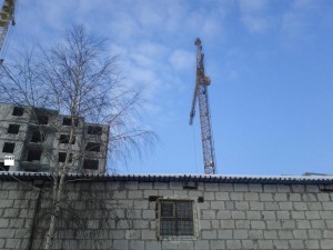 IMG_20130112_140343.jpg