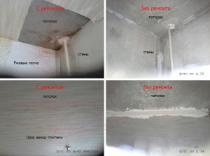 20130204.jpg