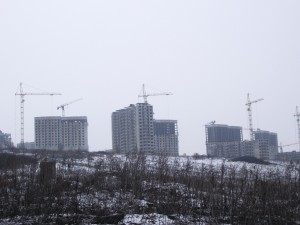 IMGP7114.jpg