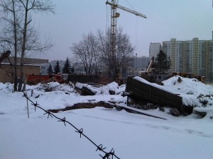 IMG00132-20130207-1124.jpg