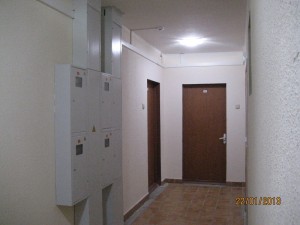 IMG_5207.JPG