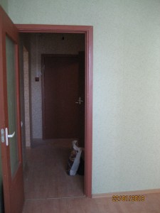 IMG_5221.JPG