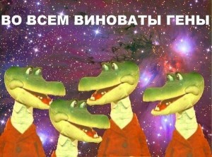 виноваты.jpg