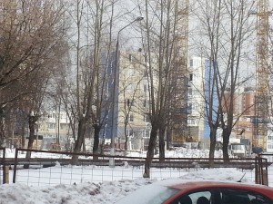 20130219_143946.jpg