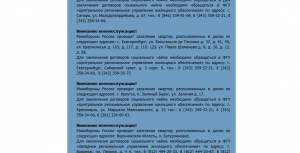 звезда 2.PNG