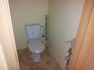 20130318_122155.jpg