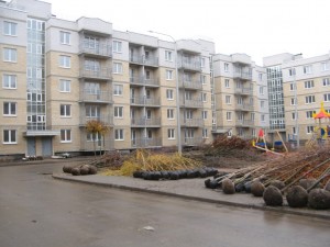 IMG_1303.JPG