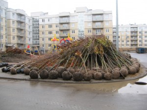 IMG_1304.JPG