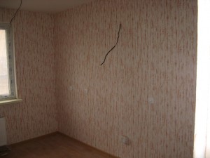 IMG_1311.JPG