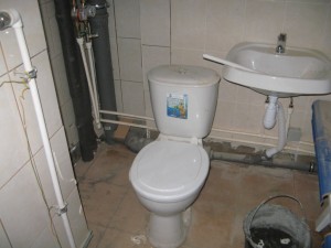 IMG_1335.JPG