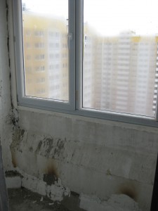 IMG_1459.JPG