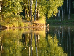 Ферма (30).jpg