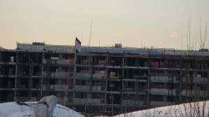 DSC02505_1.jpg