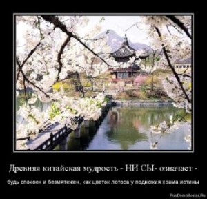 1317423114-drevnyaya-kitajskaya-mudrost-ni-sy-oznachaet-.jpg