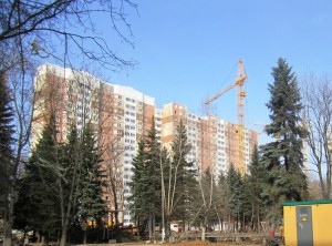 IMG_4093.JPG