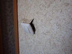 IMG_1312.JPG