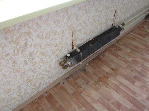 IMG_1323.JPG