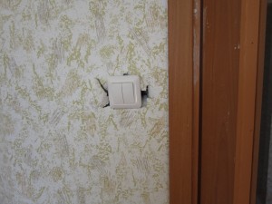 IMG_1324.JPG