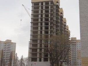 DSC02017.jpg