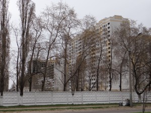 DSC02037.jpg