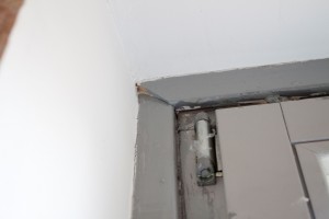 IMG_4664.jpg