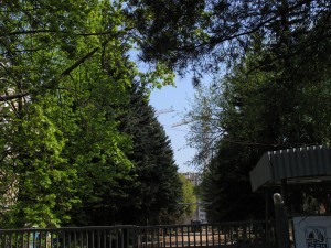 IMG_0965.JPG
