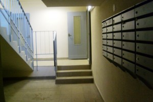 S6303277.JPG