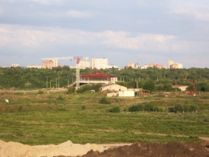 IMGP7425.jpg