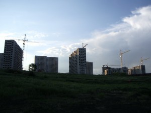 IMGP7423.jpg