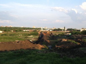 IMGP7424.jpg