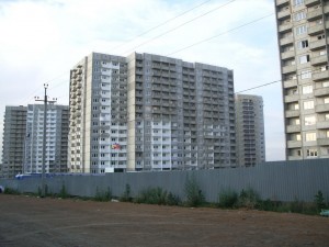 IMGP7428.jpg