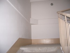 IMGP7431.jpg