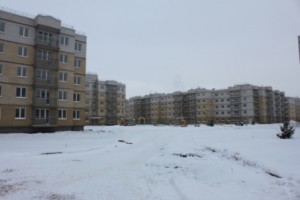 IMG_4411.JPG
